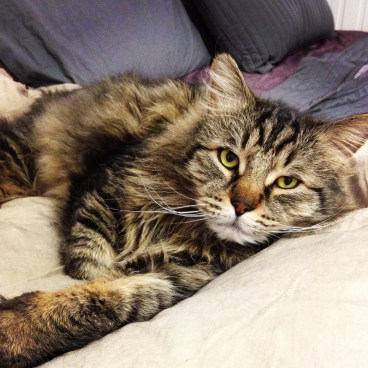 How could you say no to this face?